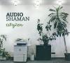 Audio Shaman - Cityzen (2010) [FLAC (image + .cue)]