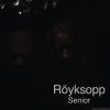 Röyksopp - Senior (2010) [FLAC (tracks + .cue)]