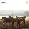Tosca - Pony No Hassle Versions (2010) [FLAC (tracks +.cue)]