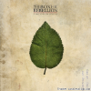 The Boxer Rebellion - The Cold Still (2011) [FLAC (tracks + .cue)]