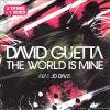 David Guetta - The World Is Mine (2004) [FLAC (tracks)]