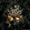 Mujuice - Downshifting (2011) [FLAC (tracks + .cue)]