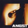 VA - Angst - A Spectre Compilation (2004) [FLAC (image + .cue)]