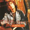 Mike Stern - Is What It Is (1994) [FLAC (tracks + .cue)]