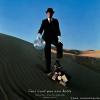 Pink Floyd - Wish You Were Here (Immersion Box Set) (1975/2011) [FLAC (tracks + .cue)]
